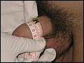 a446702.jpg