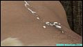 a736007.jpg