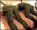 bdsm0176.jpg