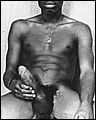 meb01717.jpg