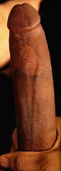 meb02311.jpg